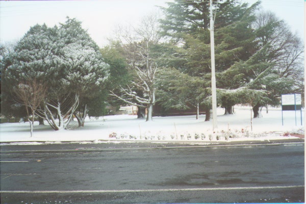 Guyra Nsw